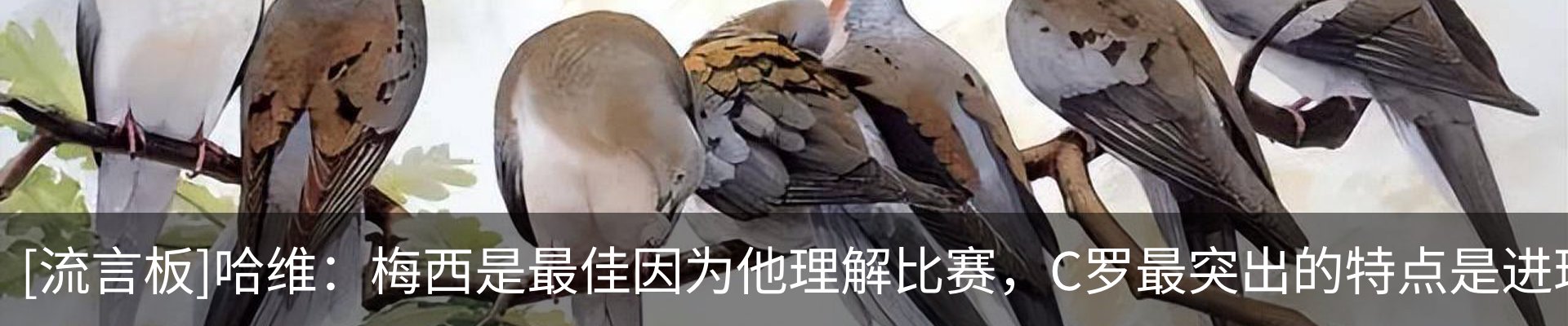 行业资讯